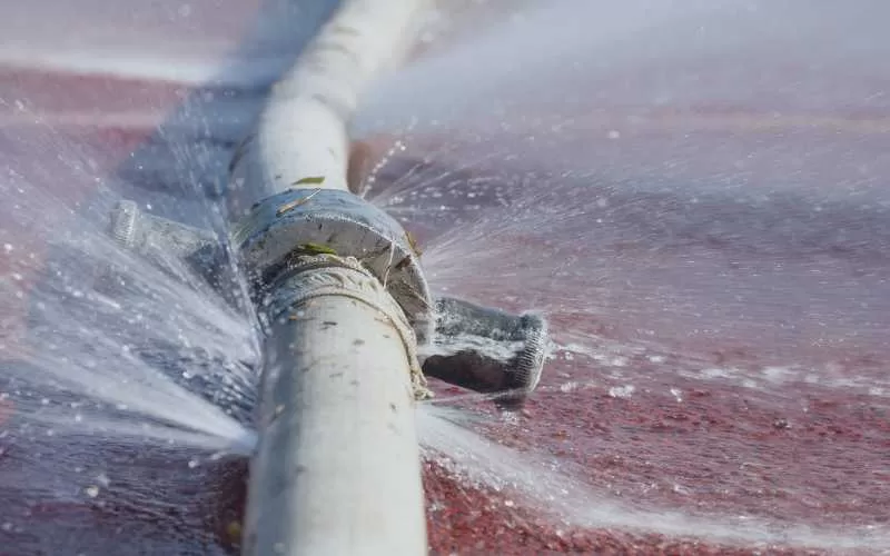 Small Franchise Business (Water Damage Restoration) | FranchiseVisa