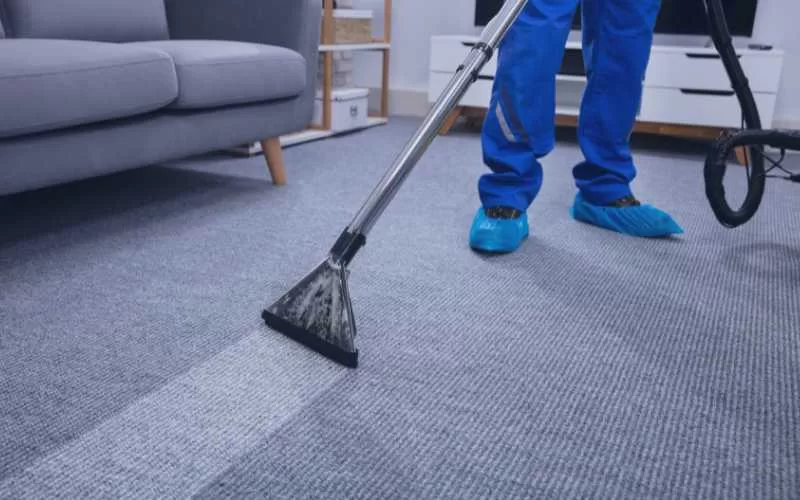 Cleaning Franchise (Carpet Cleaning) | Franchise Visa